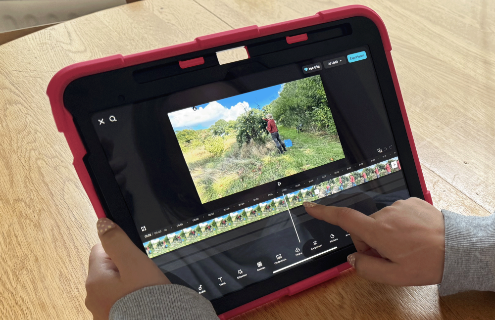  Naam Foto capcut Hanne bijgesneden EXTRA